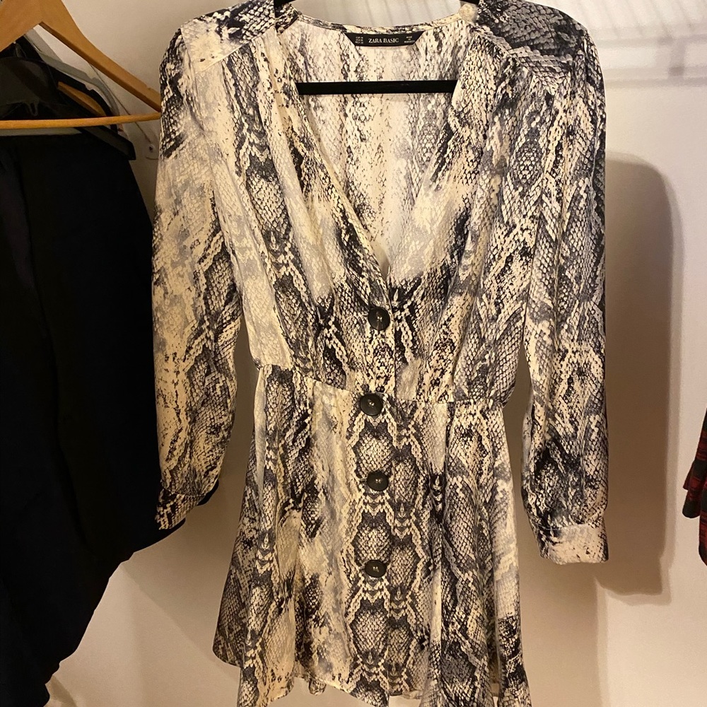 Zara snakeskin dress